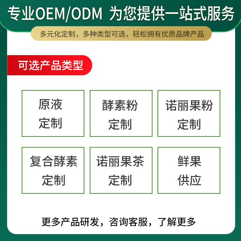 丽果干粉超微粉诺尼粉速溶果粉OEM代加工