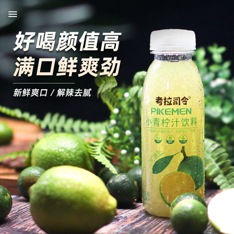 果汁小青柠果汁饮料300mlx12瓶整箱装商超同款考拉司令OEM代加工