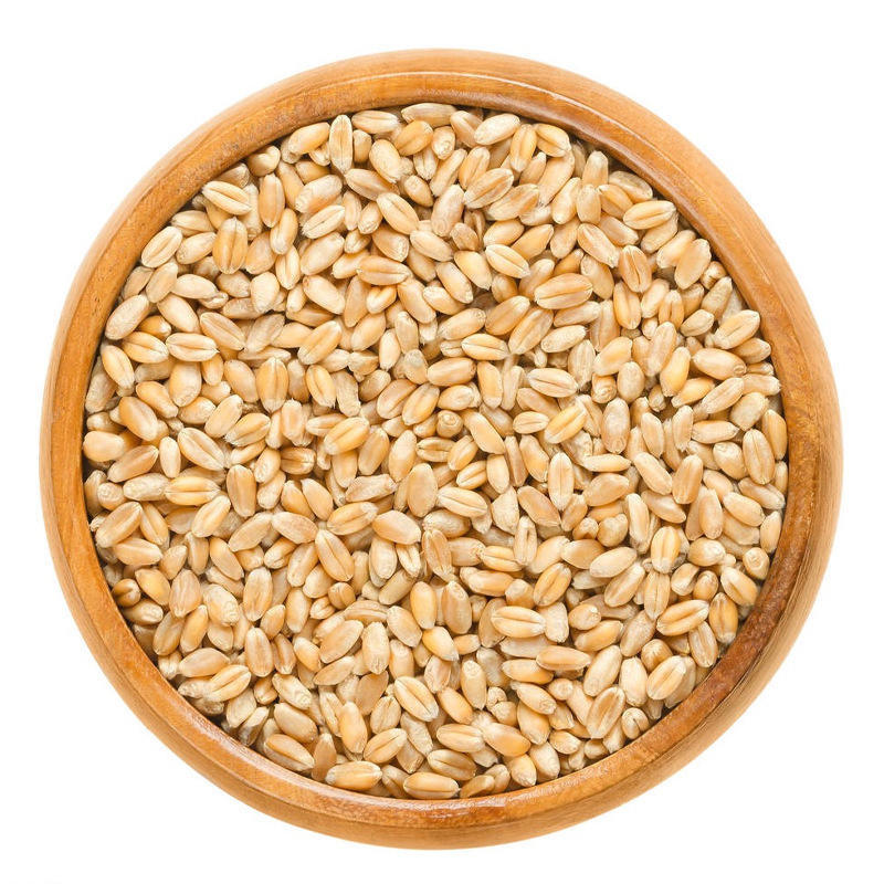 厂家直销麦仁粉批发熟粉即食早餐粉五谷杂粮代餐粉OEM代加工