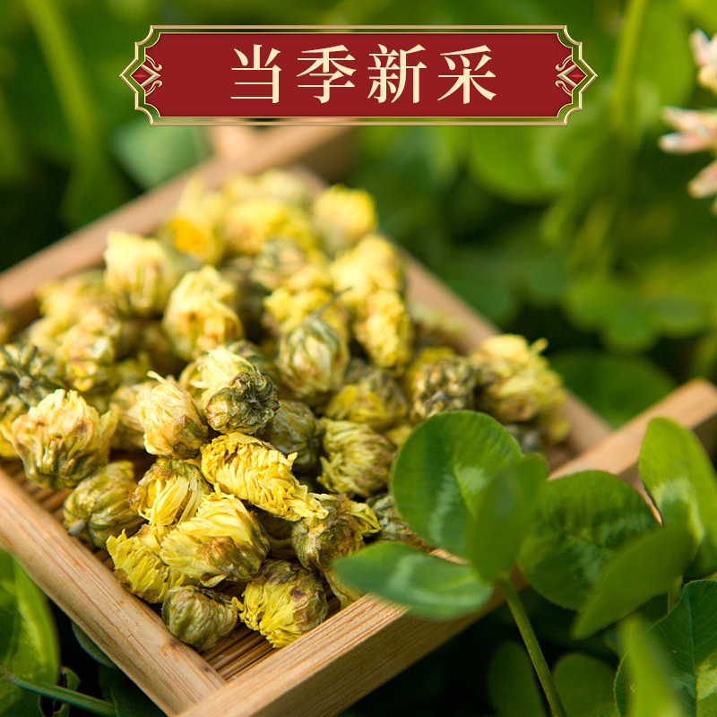 胎菊茶菊花茶桐乡胎菊新货散货罐装花茶优质厂家胎菊工厂一手货源OEM代加工