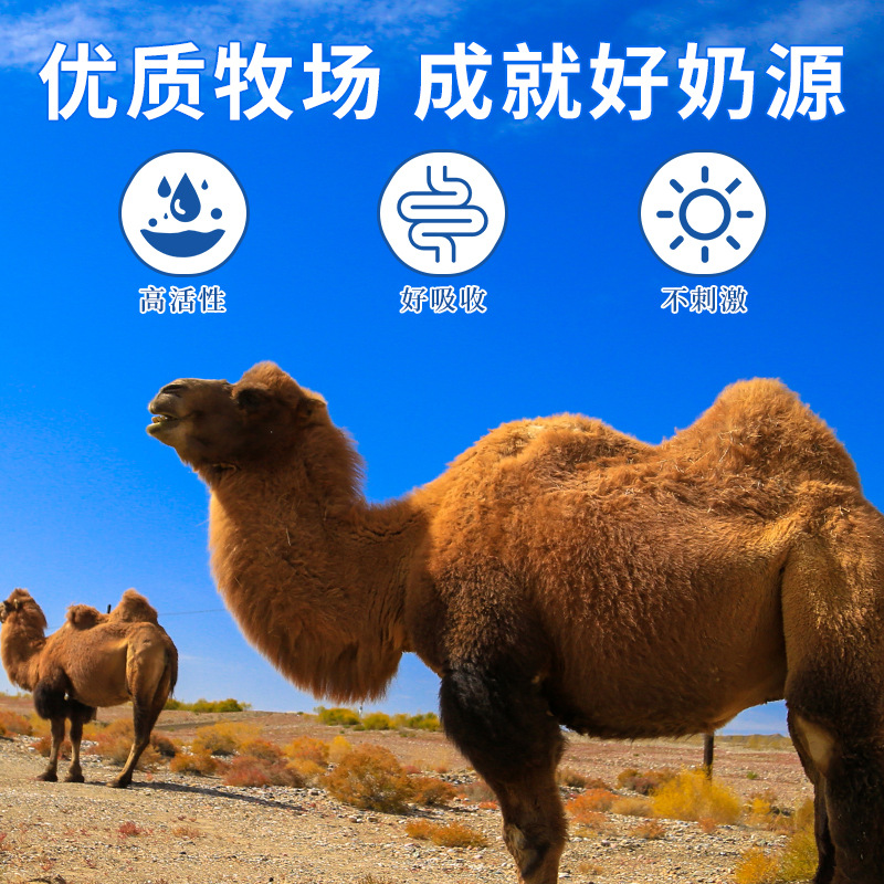 朝阜驼奶钙片正品益生菌钙片儿童青少年中老年一件代发源头工厂OEM代加工
