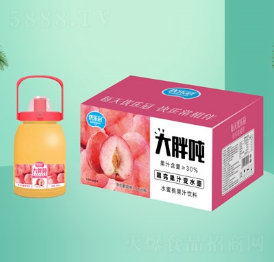 大胖吨水蜜桃果汁饮料1.5LX6OEM代加工