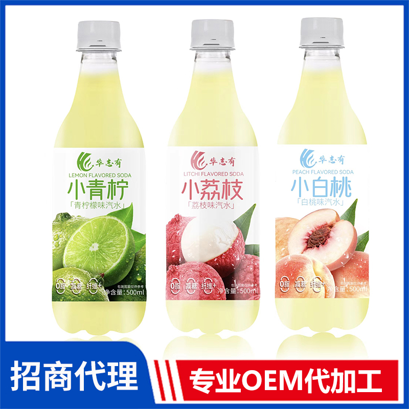 华志有果味汽水招商 果味汽水饮料代工定制源头厂家