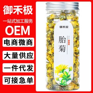 胎菊 罐装40g 菊花茶 袋泡茶花茶叶批发礼盒装花草茶 组 合茶代发
