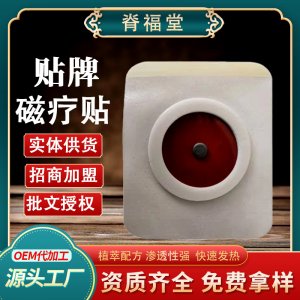 热磁 穴位磁片贴OEM代加工