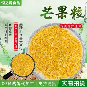 芒果粒散装水果丁芒果脆粒 烘焙原料芒果粉水果丁 冻干芒果丁