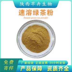 绿茶粉99% 绿茶提取物 速溶绿茶粉含茶多酚 各类速溶茶粉1KG包邮