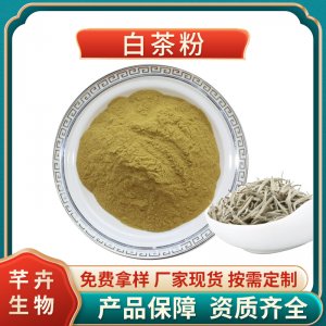 速溶白茶粉99% 白茶粉 白茶浓缩粉 含茶多酚 各类速溶茶粉1KG包邮