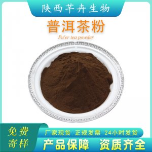 速溶普洱茶粉99% 普洱茶粉 普洱茶提取物 食品饮品原料 厂家包邮