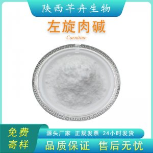 左旋肉碱 99% L-肉碱 左旋肉碱粉食品级 左旋肉碱1KG包邮