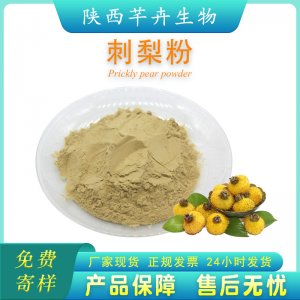 刺梨果粉99% 刺梨提取物 另有SOD刺梨粉 刺梨粉 全水溶1kg 袋包邮