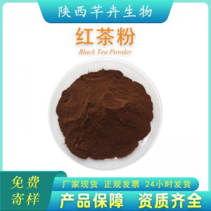 红茶粉99% 速溶红茶粉 红茶提取物 红茶多酚 红茶浓缩汁粉 包邮