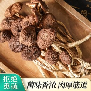 厂家现货茶树菇干货批发家用商用煲汤炒菜袋装干茶树菇一件代发
