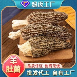 OEM定制加工羊肚菌干货菌菇汤料包煲炖汤食材云南特产羊肚菌批发