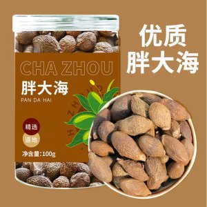 正宗胖大海批发胖大海果罐装100g泡水中药材花果茶药食同源代发
