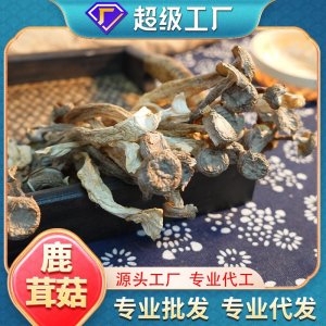 熊舅舅餐饮火锅食材鹿茸菇菌批发干货无熏硫煲汤袋装现货可代发