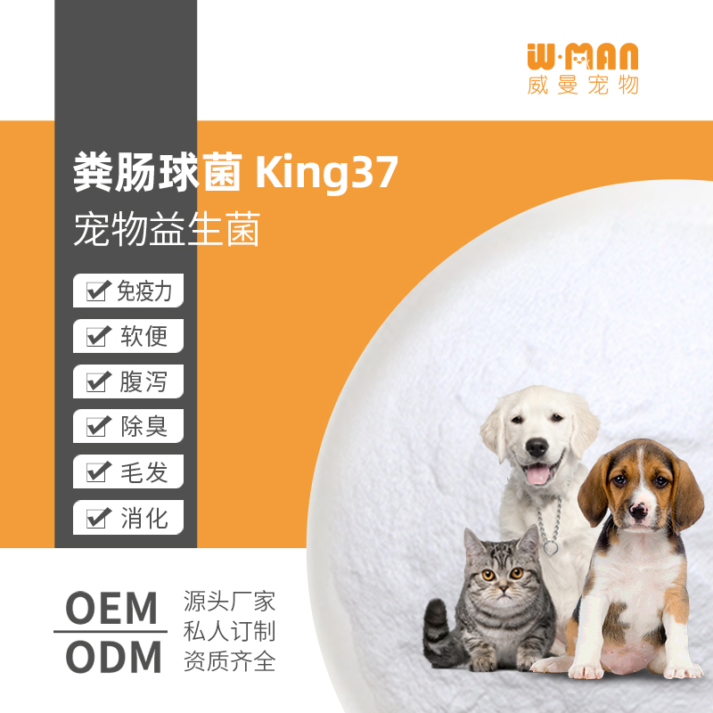 粪肠球菌-King37 贴牌宠物益生菌粉 宠物营养补充剂代加工