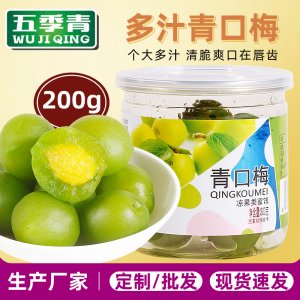 清口梅凉果罐装零食蜜饯200gOEM代加工