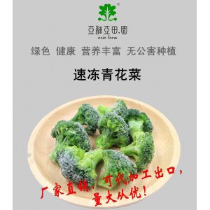 速冻青花菜（西兰花)出口冷冻蔬菜;批发加工,生产工厂