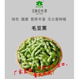 速冻毛豆台湾枝豆;出口冷冻蔬菜;价格面议;批发加工工厂