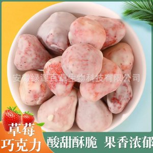 草莓巧克力 酸奶草莓 草莓片 冻干草莓涂层网红零食小吃 即食小吃