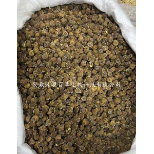 厂家批发贵州刺梨干散装刺梨干果 野生刺梨脱刺选货泡水泡酒 代发