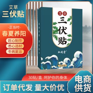 虹兆堂艾草三伏贴三九贴 夏季三伏贴 通用型穴位艾灸贴艾草三伏贴