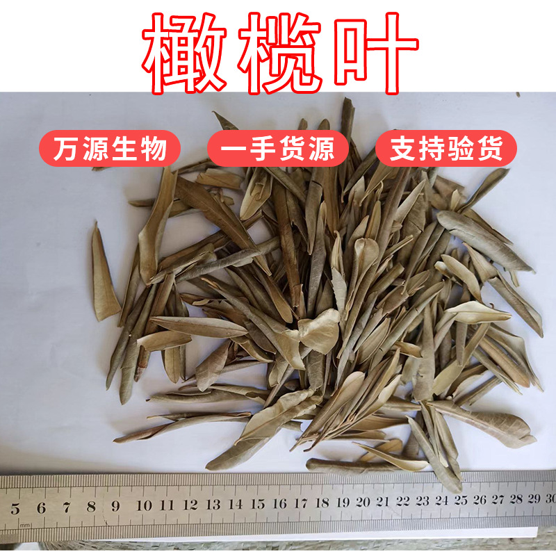 橄榄叶干叶OEM代加工