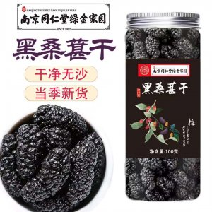 桑葚干100克罐装OEM代加工
