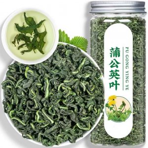 长白山蒲公英茶叶OEM代加工