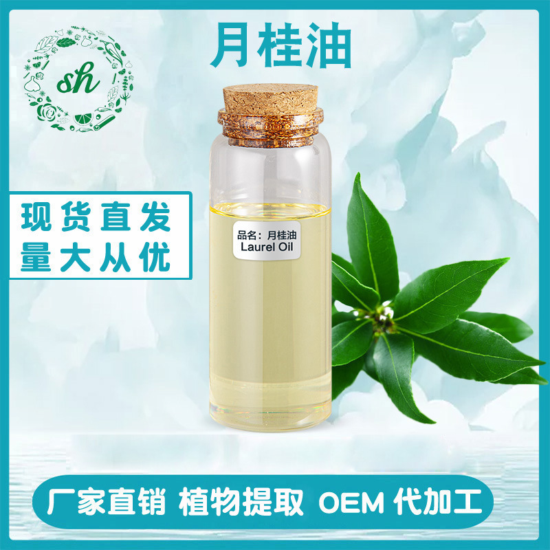 月桂油 月桂精油 月桂叶油 单方植物精油 厂家直销 量大价优 现货