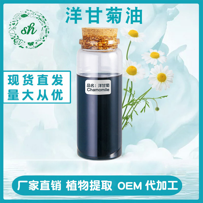洋甘菊油 洋甘菊精油 单方植物精油原料 厂家直销 量大价优 现货