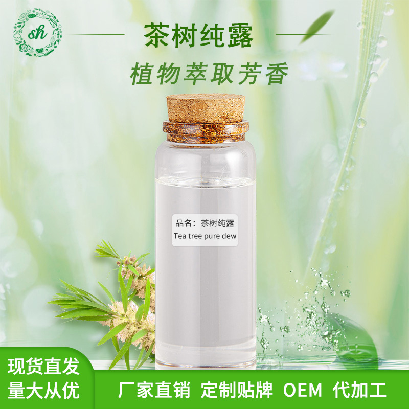 茶树纯露 植物提取液 可用于化妆品原料 饱和纯露水 厂家直销价优
