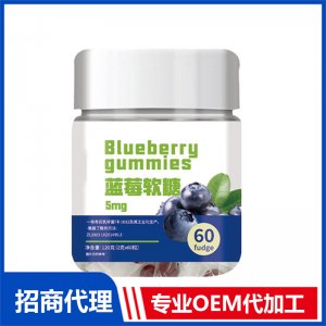 蓝莓软糖OEM代加工 软糖凝胶糖果贴牌定制
