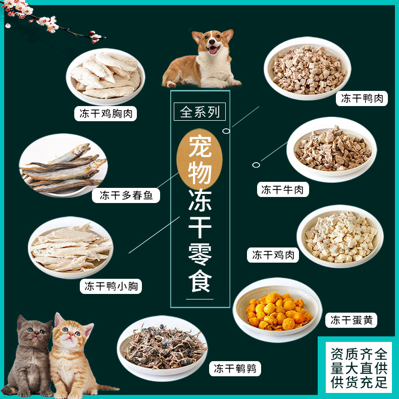 宠物食品猫零食 冻干三文鱼肉质宠物猫零食 生骨肉冻干三文鱼猫粮