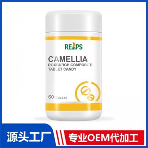 余甘子刺梨复合压片糖果 OEM/ODM贴牌代加工批发定制源头厂家
