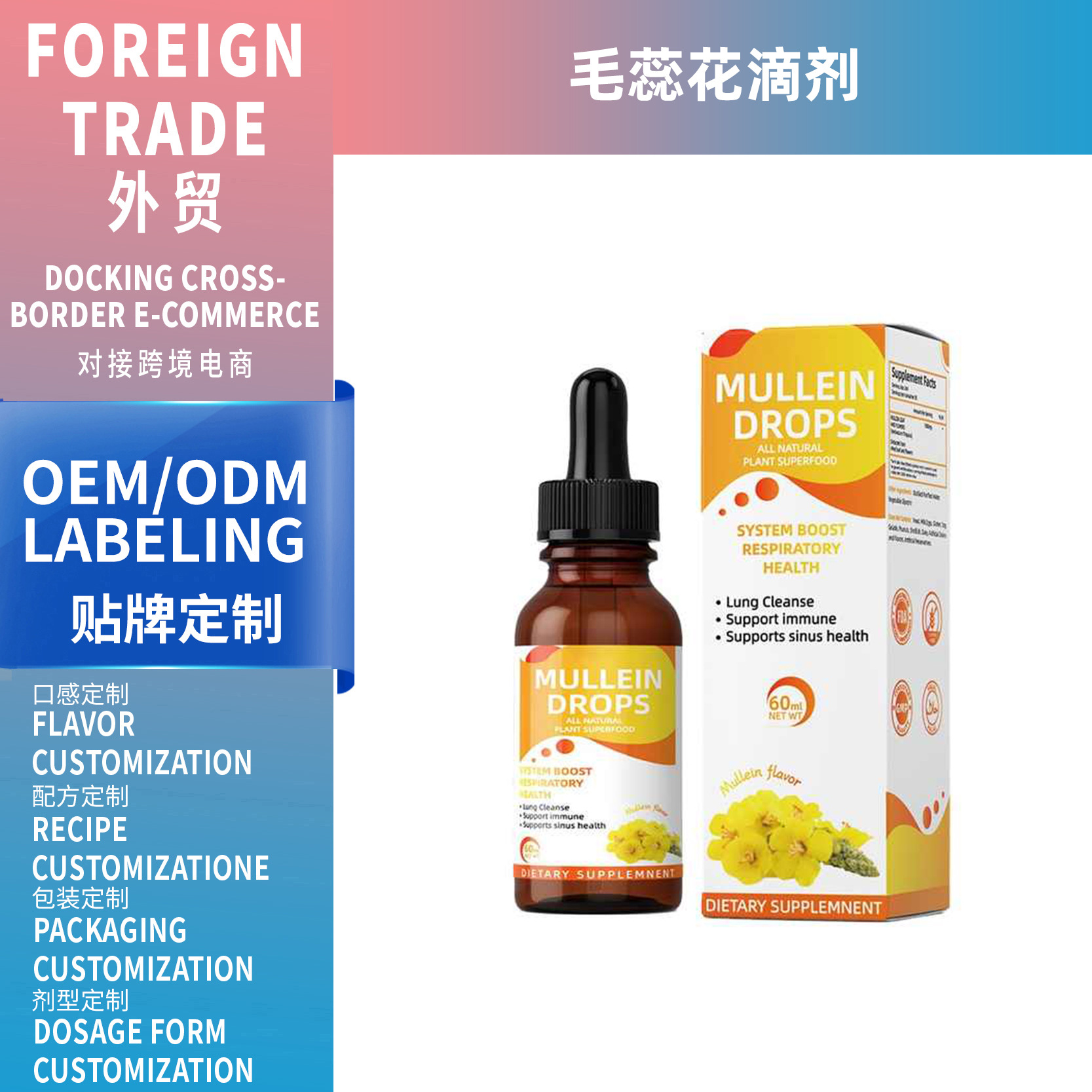 跨境亚马逊TK爆款毛蕊花滴剂Mao Rui Hua Droplet 60ml工厂支OEM