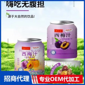 西梅汁OEM代加工 饮品贴牌定制源头工厂