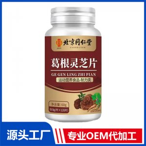 北京同仁堂葛根灵芝片 OEM/ODM贴牌代加工批发定制源头厂家
