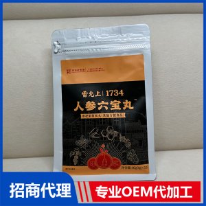 人参六宝丸OEM代加工 丸剂贴牌代工源头工厂