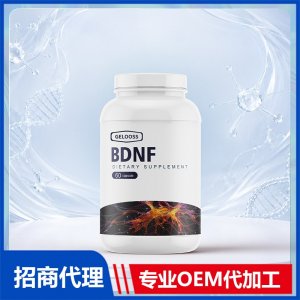 BDNF神经营养因子胶囊_男士系列进口营养品OEM招商代加工_进口营养品供应链