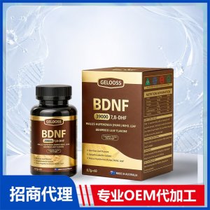 BDNF脑源性神经营养因子OEM代加工 进口营养品贴牌定制源头工厂