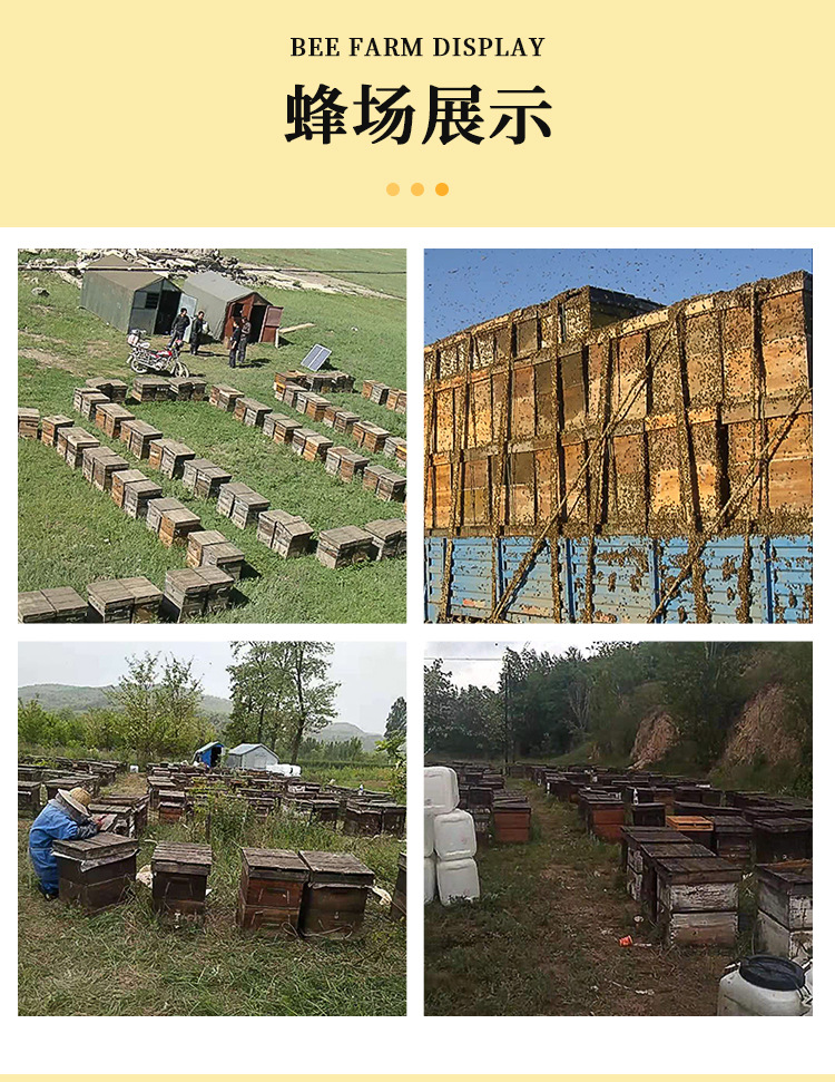 蜜艺特喜蜜28g创意蜂蜜婚礼回礼伴手礼结婚用蜜喜礼山东原产蜂蜜