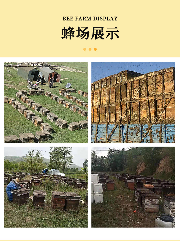 蜂蜜喜蜜批发百花伴手礼礼盒回礼婚礼创意小瓶28g纯蜜创意伴手礼