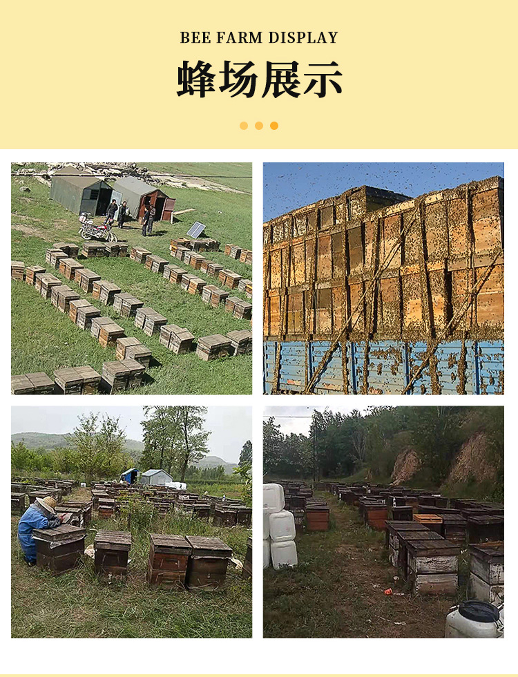 【喜蜜】小包装蜂蜜伴手礼婚礼六角瓶结婚回礼成品蜜礼山东百花蜜