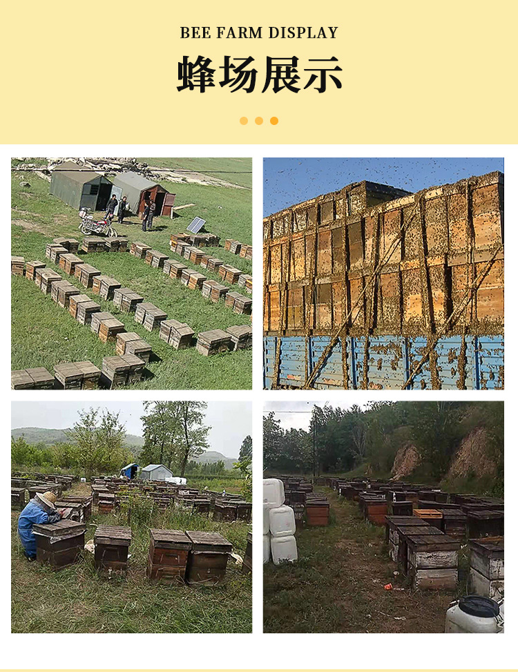 小瓶蜂蜜盒装喜蜜结婚伴手礼两瓶装28g婚礼纯正婚礼伴手礼