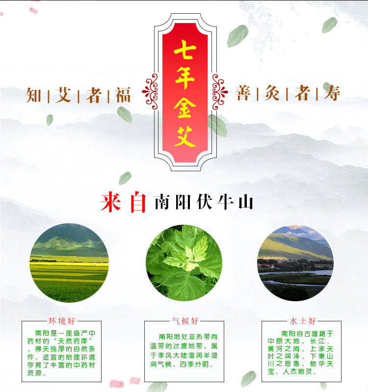 南阳七年黄金艾条艾灸条 厂家艾叶艾绒批发 七年陈艾灸条温灸保健