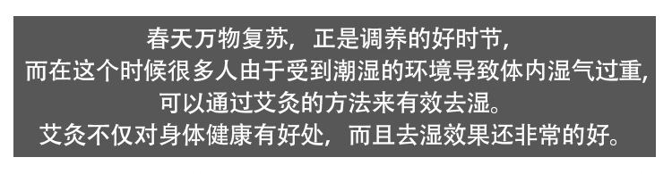 南阳艾柱 温灸艾柱54柱 艾段艾柱 厂家批发按摩保健理疗经络家用