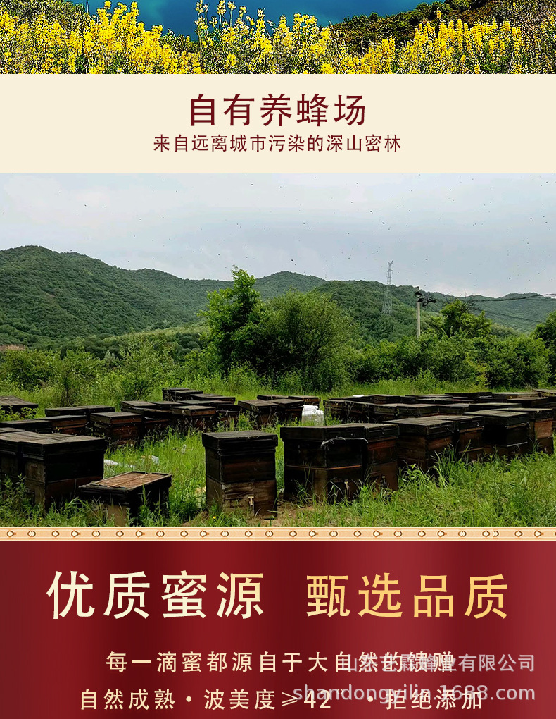 挤压瓶蜂蜜百花蜜洋槐蜜土蜂蜜便携小包装纯正天然原蜜高品蜂蜜