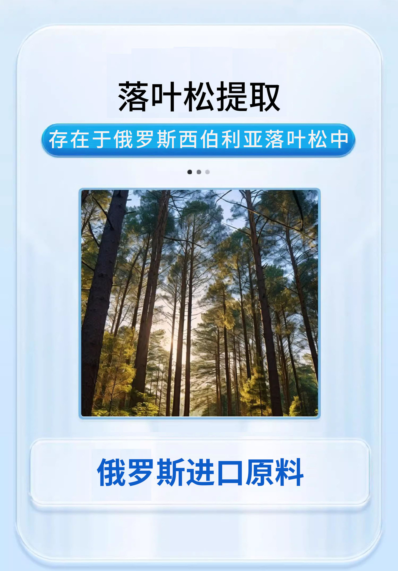 长白山二氢槲皮素贴牌口服液工厂代工俄罗斯进口原料草本饮oem